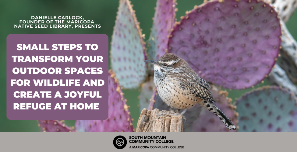 Small Steps Workshop