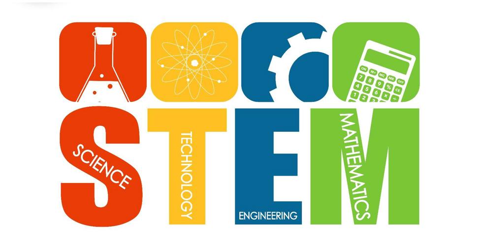 STEM Bridge