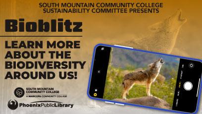 bioblitz