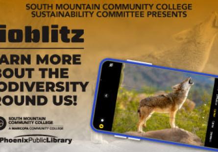 bioblitz