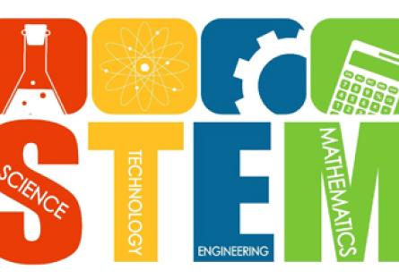 STEM bridge