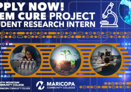 STEM CURE Project Student Research Intern