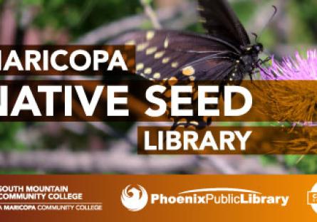 Maricopa Native Seed Library