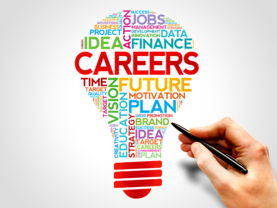 Career