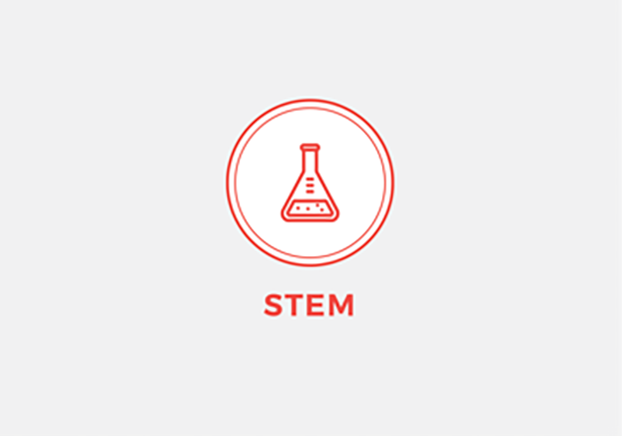 STEM FOI Logo