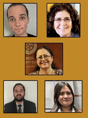 MSE Team